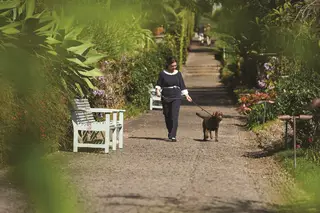 Um passeio nos jardins do Reid’s (€35) é uma das mordomias que o hotel tem para cães. A taxa diária por cão (€35) inclui três refeições por dia, preparadas pelo chefe Luís Pestana