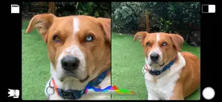 A versão 50/50 com a pequena teleobjectiva e a grande angular pode criar um ficheiro único para ser partilhado assim mesmo