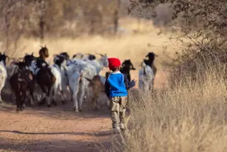 É nas zonas rurais da África Subsariana que há mais pessoas a viver na pobreza
