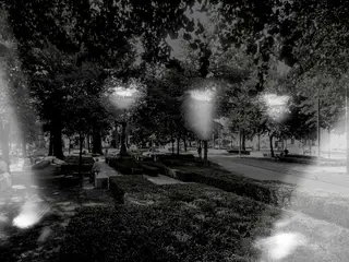 Kaleidotree, do Openfield Creativelab