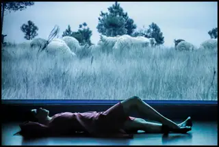 Levi Martins e Maria Mascarenhas encenam 'Tentativas Para Matar o Amor', o texto de Marta Figueiredo vencedor do Grande Prémio de Teatro Português SPA/Teatro Aberto de 2015