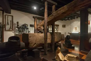 No Blandy's Wine Lodge, no Funchal, as visitas guiadas acabam com uma prova de Madeira, que só pode ser produzido a partir das castas Tinta Negra, Sercial, Verdelho, Terrantez, Bual e Malmsey