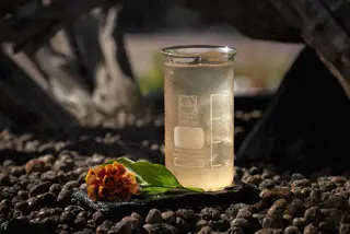 Cocktail Fake G&T