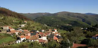 Fajão