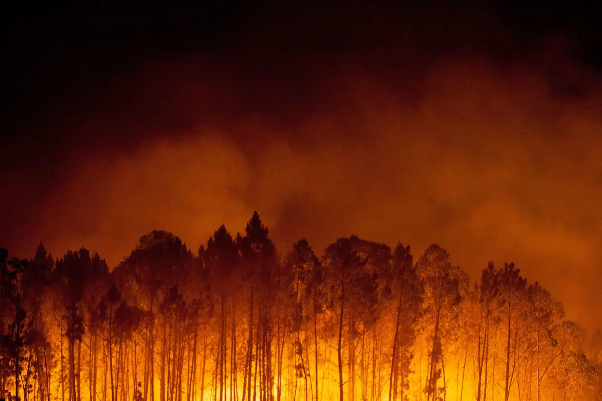 FOGOS - O incêndio de Pedrógão é apontado pela Comissão Europeia como efeito das alterações climáticas - ondas de calor como aquela tornaram-se "dez vezes mais frequentes"