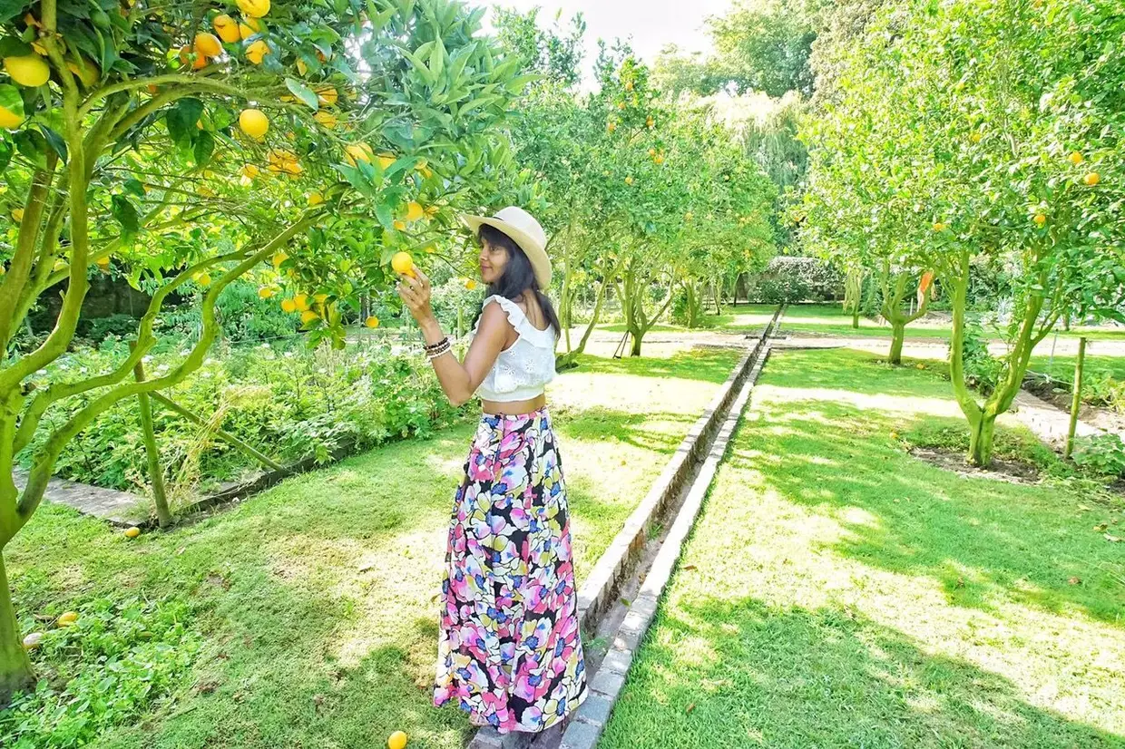 Já este ano a blogger americana Preethi Chandrasekhar pernoitou na Quinta da Penalva