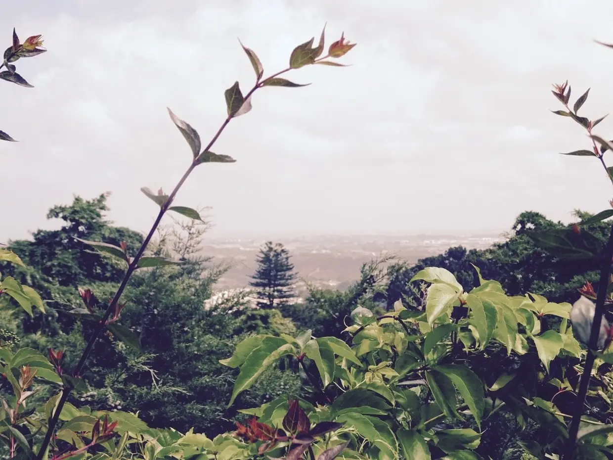Panorâmica para serra de Sintra