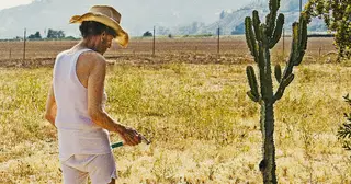 O filme Lucky é o epílogo de um grande ator, Harry Dean Stanton