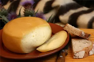 A produção de queijo Serra da Estrela precisa de mais ovelhas para substituir, aos poucos, os milhares de animais que se perderam