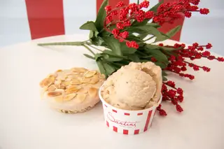 O sabor de um bolo-rei em forma de gelado é a proposta da Santini