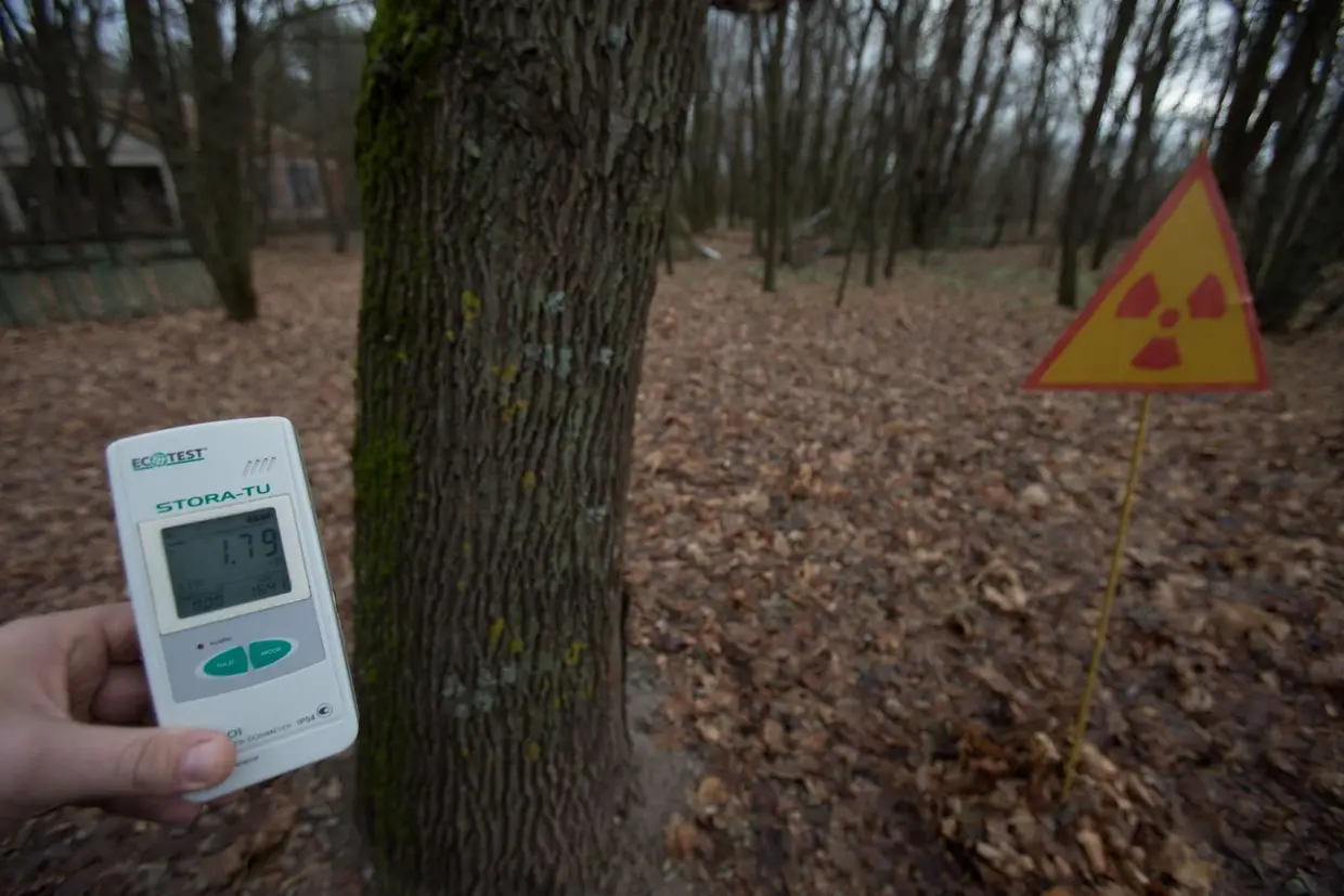 Nos bosques de Chernobyl, o efeito nefasto da radiação desceu para um quarto da registada na altura do acidente. Atualmente, o nível médio é de 100 microsieverts por hora, comparável à exposição a que um passageiro está sujeito durante um voo transatlântico