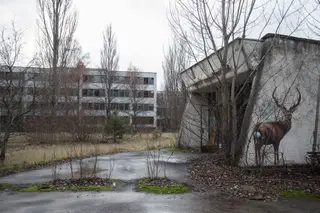 Chernobyl: Onde vivem fantasmas e floresce o turismo