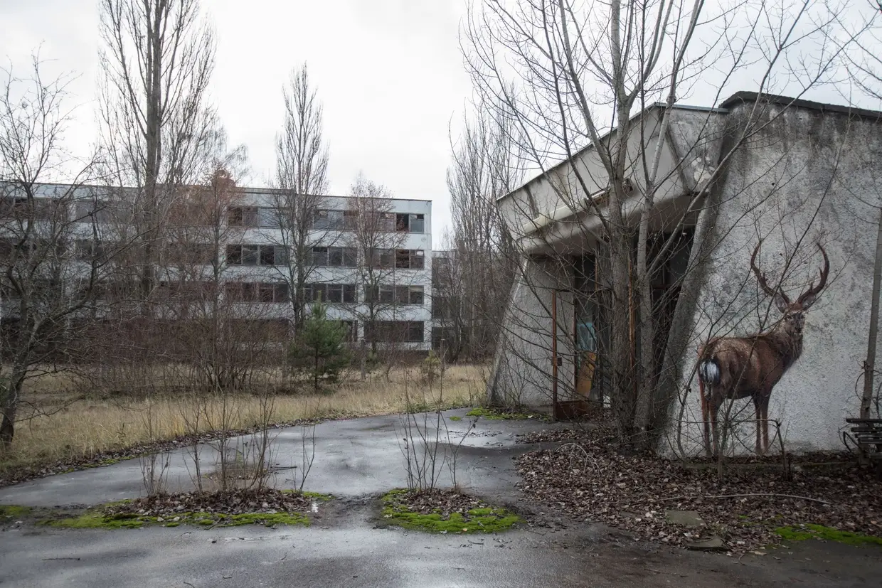 A natureza toma o espaço abandonado como seu, contribuindo para a aura de cidade fantasma de Pripyat