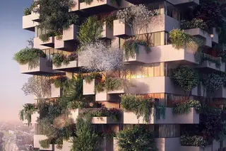 Florestas verticais, a nova proposta para combater as alterações climáticas