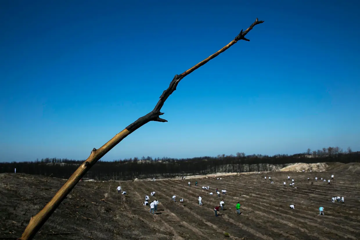 Aqui de cima é de onde se vislumbra melhor a quantidade de gente que trabalha estes 59 hectares