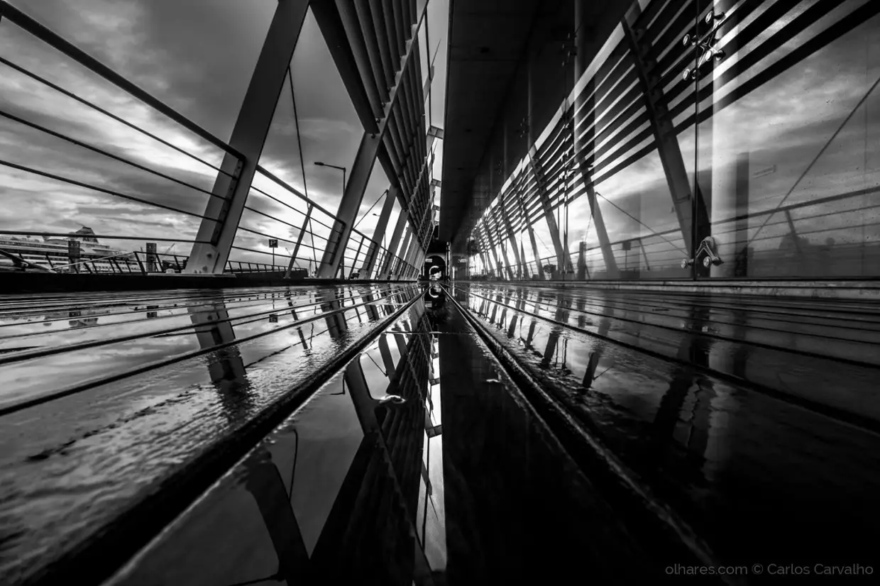 Reflexos