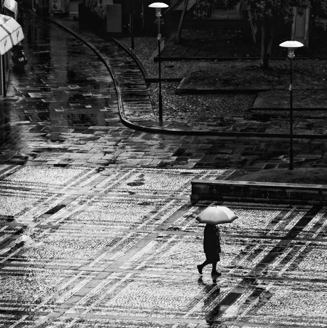 Passageira da chuva...