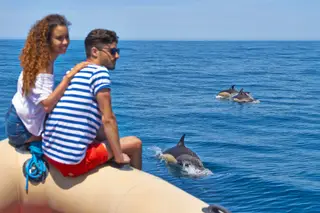 Viaje de barco até 16 quilómetros da costa do Algarve para observar golfinhos no seu habitat natural
