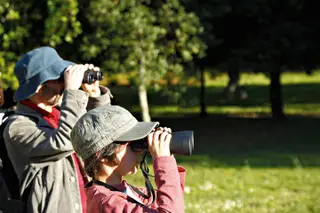 No Parque de Serralves vivem mais de 60 espécies, entre mamíferos, aves, répteis e anfíbios