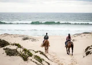 Passeios equestres na Comporta