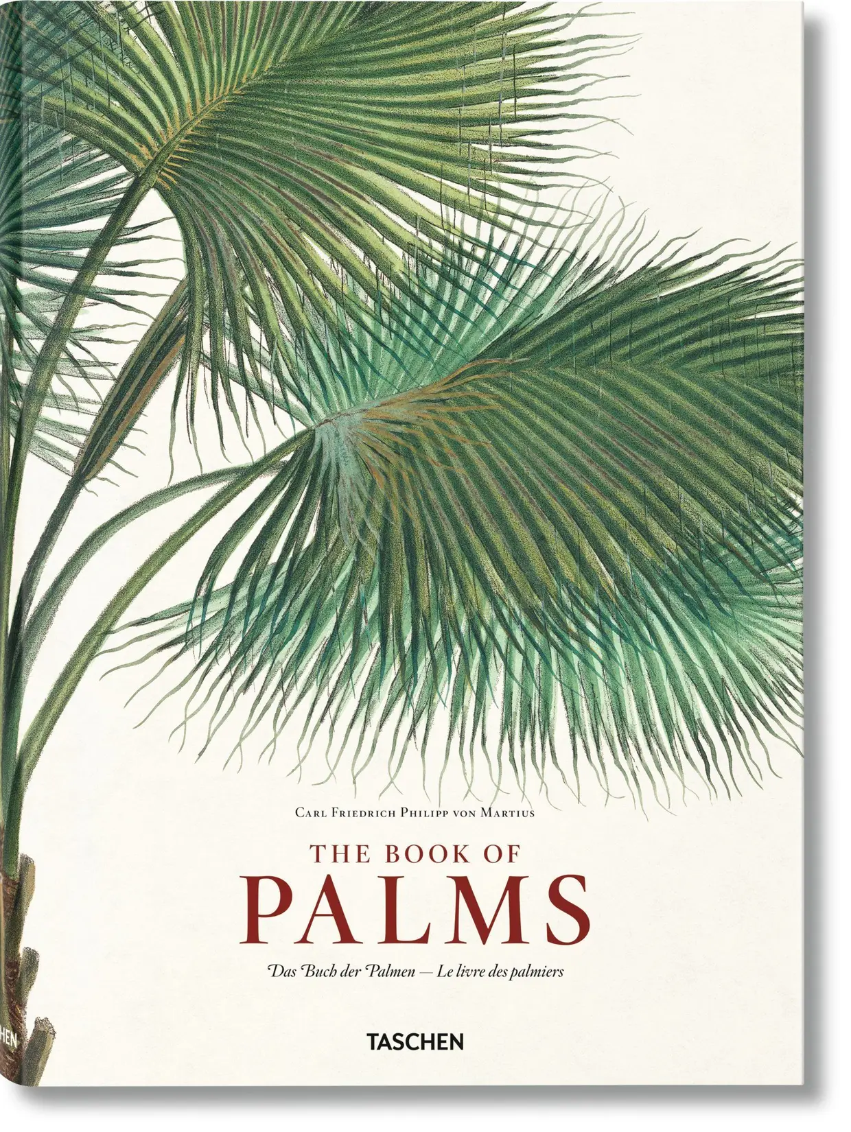 The Book of Palms, Taschen, €100