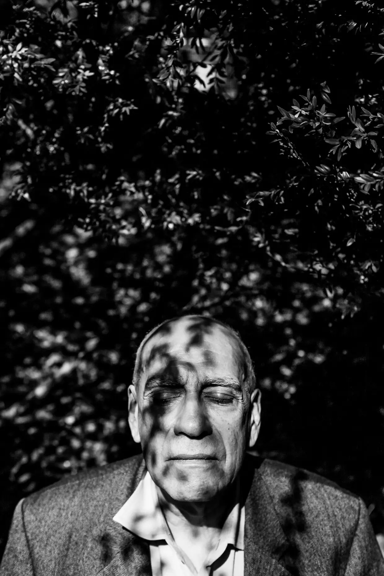 Wilton Fonseca