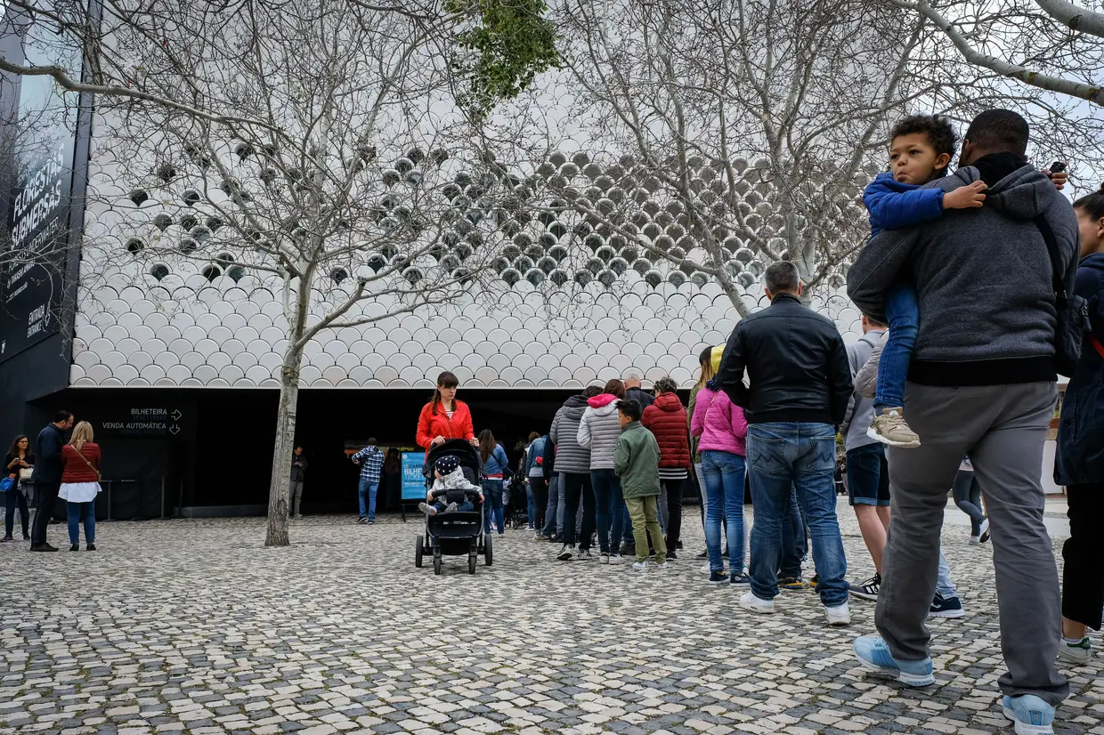Dentro do tanque central do Oceanário de Lisboa, contam-se cerca de oito mil espécies, entre animais e plantas. O Oceanário de Lisboa recebeu, ao longo destas duas décadas, cerca de 23 milhões de visitantes nacionais e estrangeiros