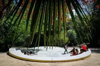 No Jardim Botânico, há um novo anfiteatro e caminhos para descobrir