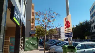Almada