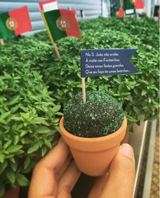 O brigarico é um brigadeiro tradicional (com leite condensado, chocolate e coberto com granulado verde) a evocar os manjericos desta época