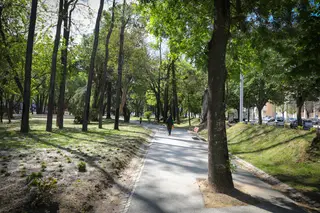 O jardim do Campo Grande foi renovado, passando a chamar-se Jardim Mário Soares