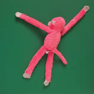Esta imagem de um peluche faz parte do ensaio fotográfico de Tom Kiefer sobre os pertences que são confiscados aos imigrantes e aos filhos que entram de forma iliegal nos EUA a partir da fronteira com o México