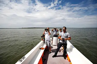 A Mira Sado passeia pela Reserva Natural do Estuário do Sado