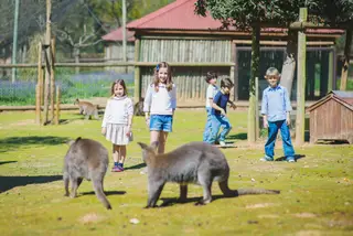 No Zoo Santo Inácio vivem cerca de 800 animais, de diversas espécies, originários de todo o planeta, distribuídos por 15 hectares