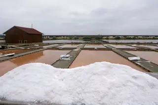 É na recuperada Marinha do Canto que se produz o sal e a flor de sal das Salinas do Samouco, abertas para visitas livres ou com guia