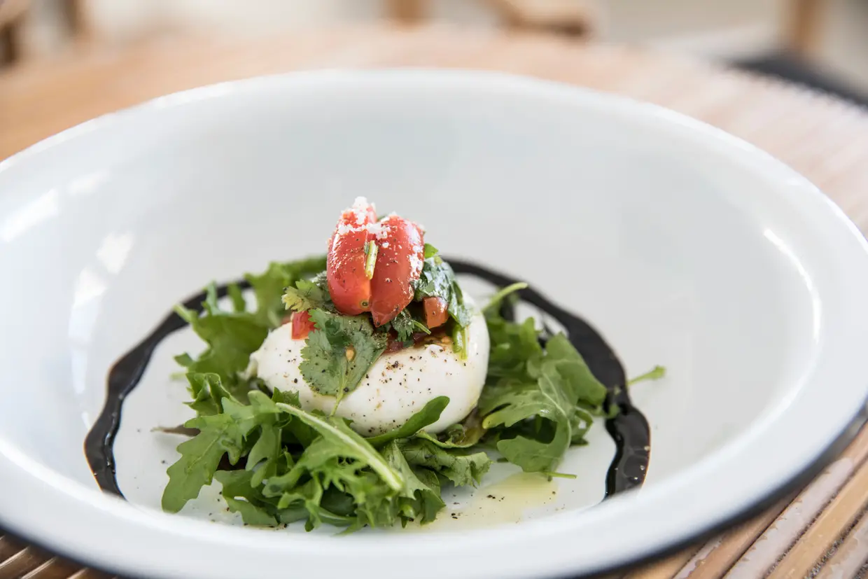 Burrata com tomate cherry