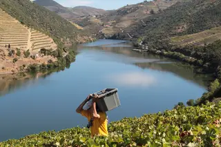 Na Quinta do Pôpa, os programas de enoturismo estão disponíveis durante todo o ano mas, nesta época, há opções para conjugar com as visitas