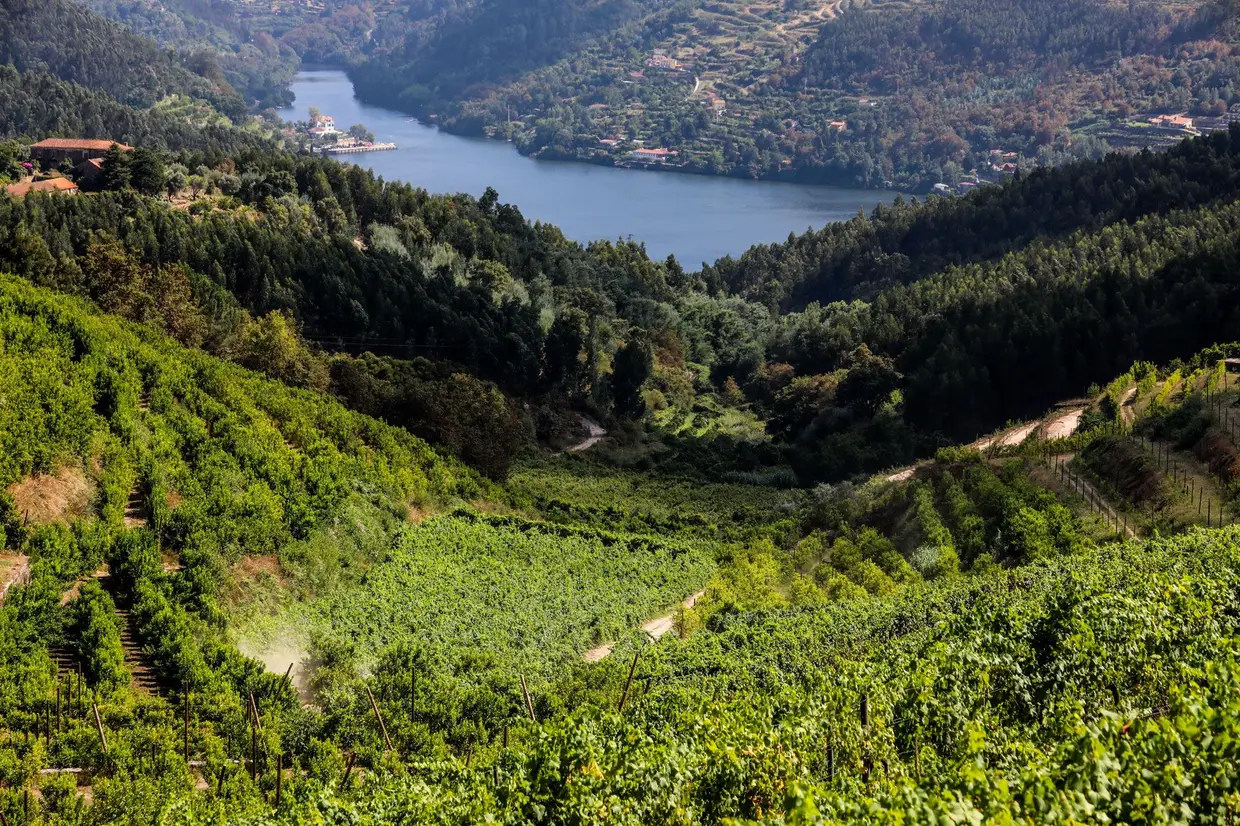 A Quinta da Ermida é um das referências do município em termos turísticos. O Douro está por todos os lados: diante dos olhos e ali ao lado, junto à linha de caminho de ferro, onde passam os comboios.