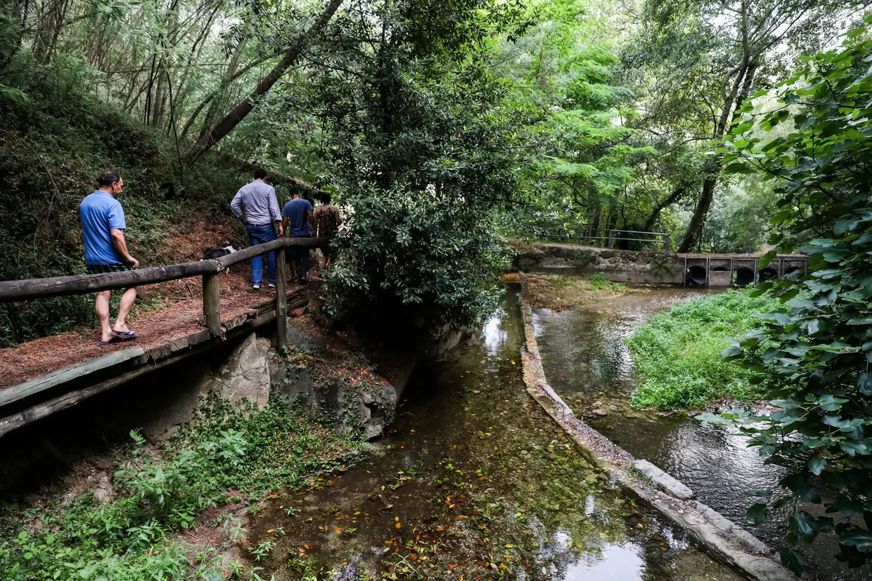 Baião gaba-se da sua “vida natural” e, na Quinta da Ermida, existe até uma cascata privada, com paisagem deslumbrante, onde novos e velhos podem abraçar os dias como se viessem agora ao mundo.