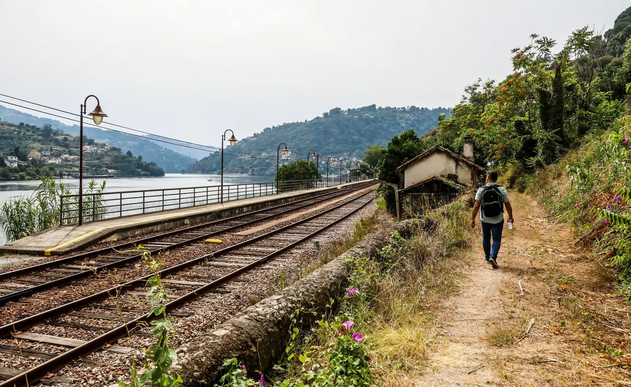São três quilómetros sempre a subir, mas de alma consolada. A partir da Estação de Aregos (Tormes no romance queirosiano), faz-se o Caminho de Jacinto. O percurso inclui outras surpresas literárias e cinéfilas, de Camilo a Agustina, passando por Manoel de Oliveira.