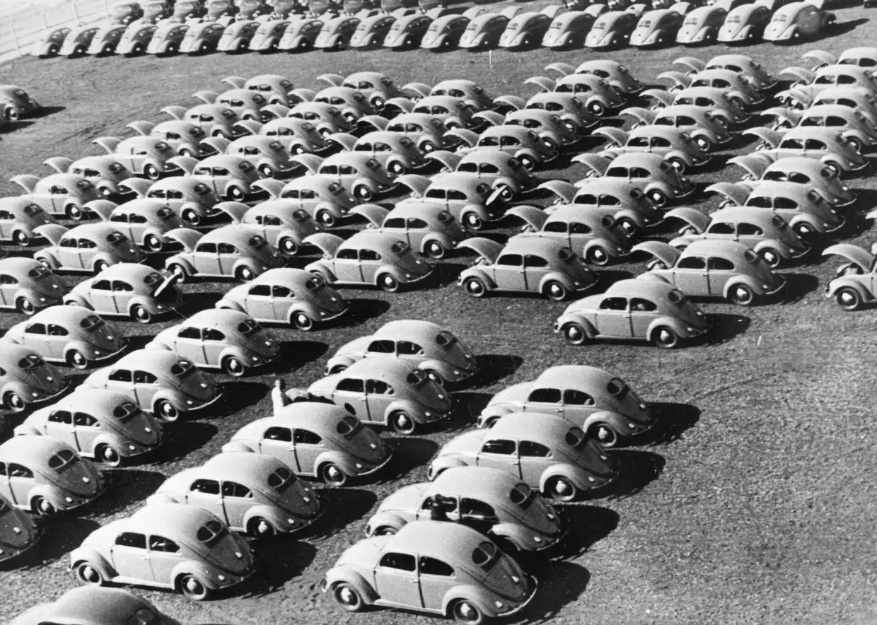 Prontos para serem vendidos, em 1950