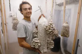 Agricultura urbana: Do café que não se bebe brotam cogumelos que se comem