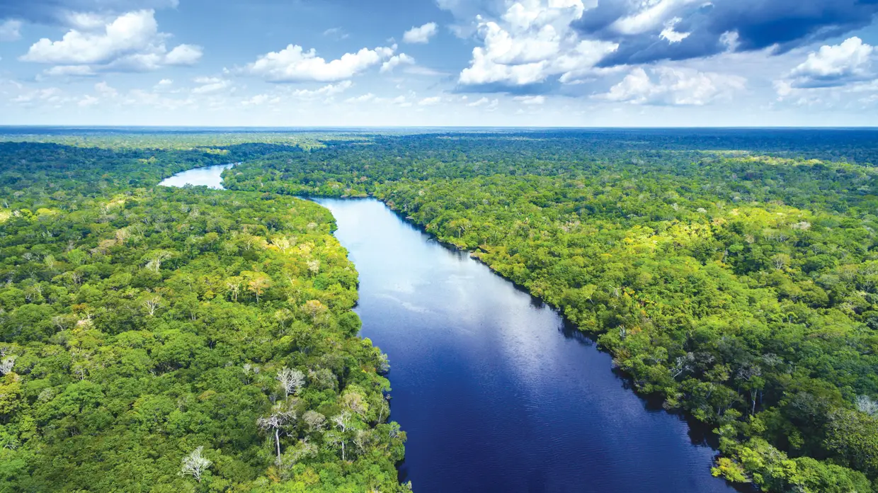 Mais de metade da maior floresta do mundo, a Amazónia, fica no Brasil