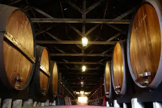 O Moscatel de Setúbal vai estar em destaque já este fim de semana, dias 10 e 11, com um mercado de vinhos, provas comentadas por enólogos e visitas às adegas da região, como a José Maria da Fonseca, em Azeitão