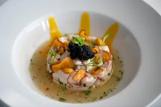 Ceviche de peixe branco