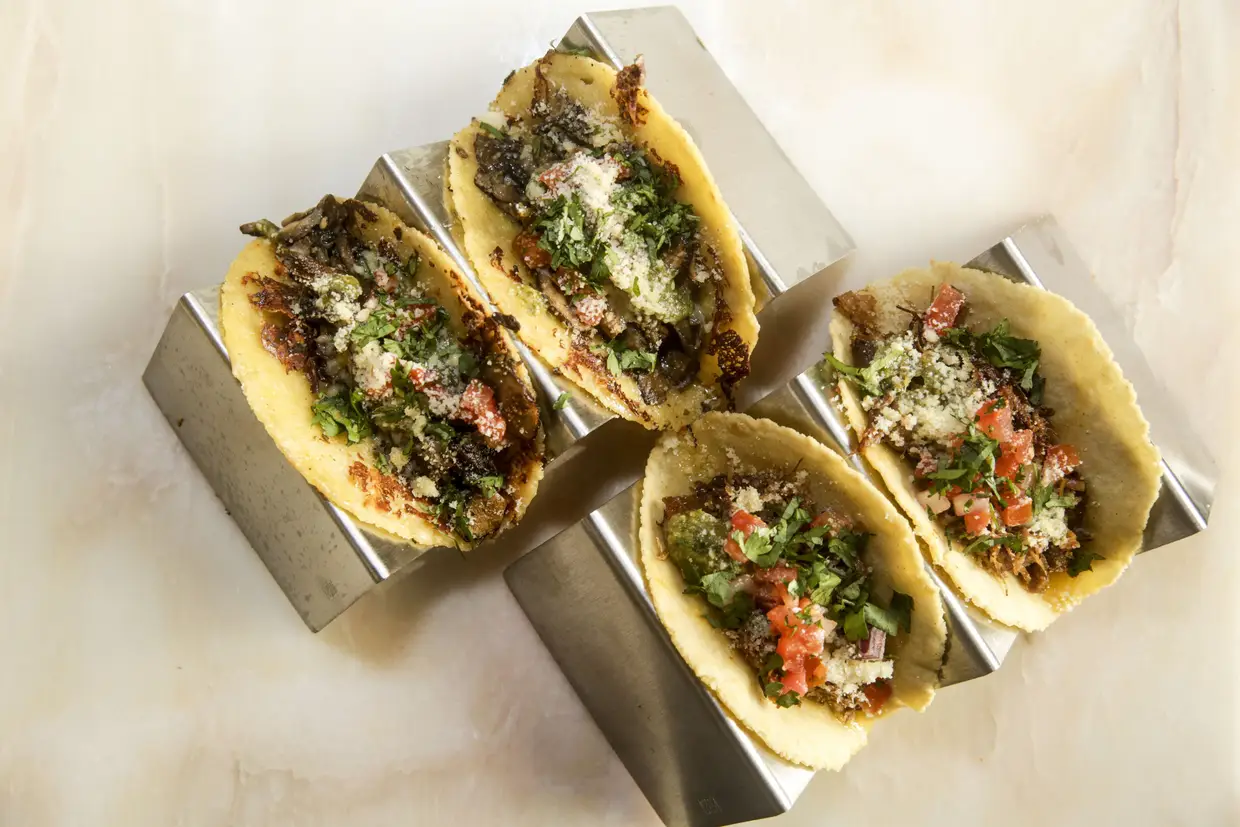 Entre os vários tacos partilhados, o de milho com hongos (fungo da maçaroca de milho a que chamam “caviar asteca”) foi o preferido