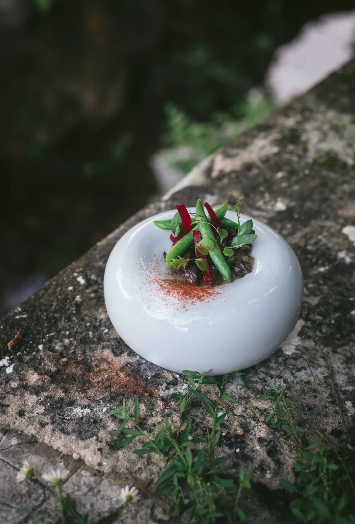 O caracol em vinho "Baga" e oregãos