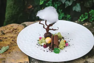 Pombo, caracol e uma floresta doce na nova carta de inverno do restaurante Arcadas, em Coimbra