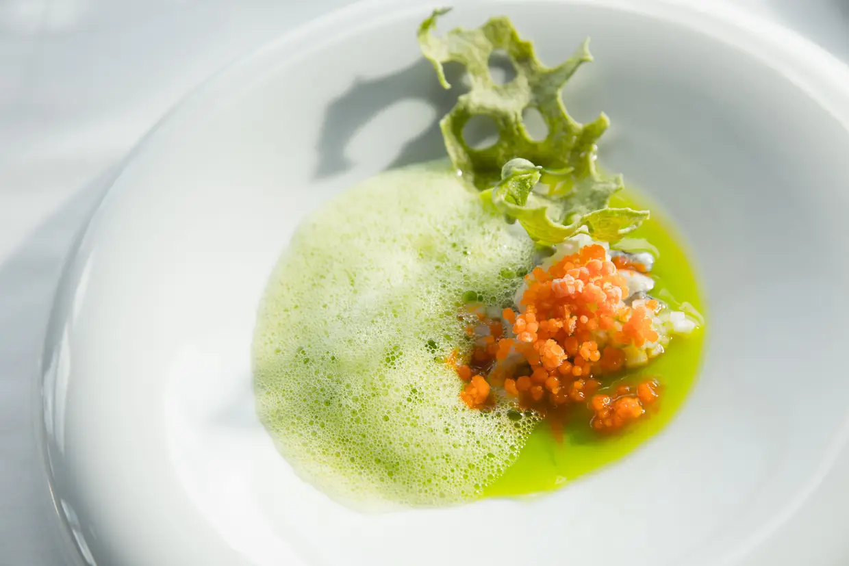 Ostra com sumo de azeitonas verdes, gelatina de água de tomate, emulsão de wasabi e crocante de algas