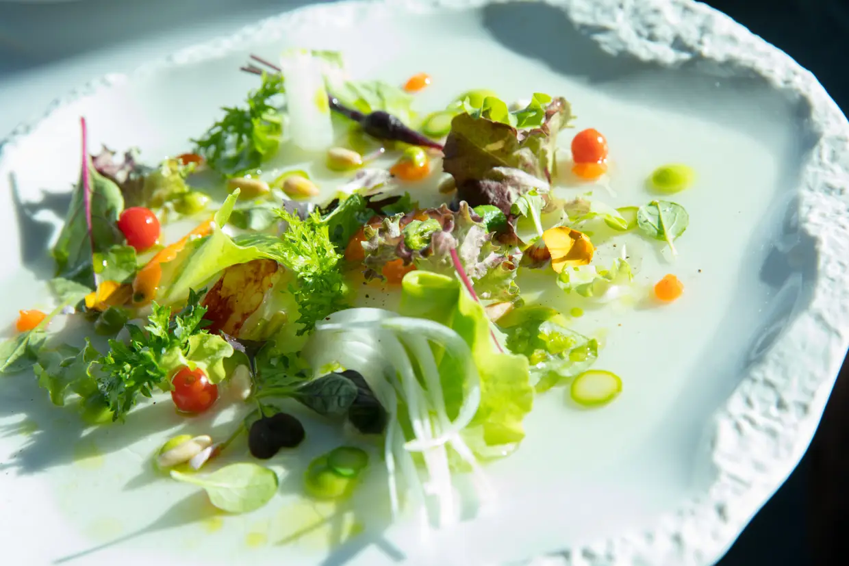 Salada de verduras, ervas e pétalas, brotes com puré de alface e lavagante
